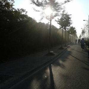 裸体㊙️免费看
